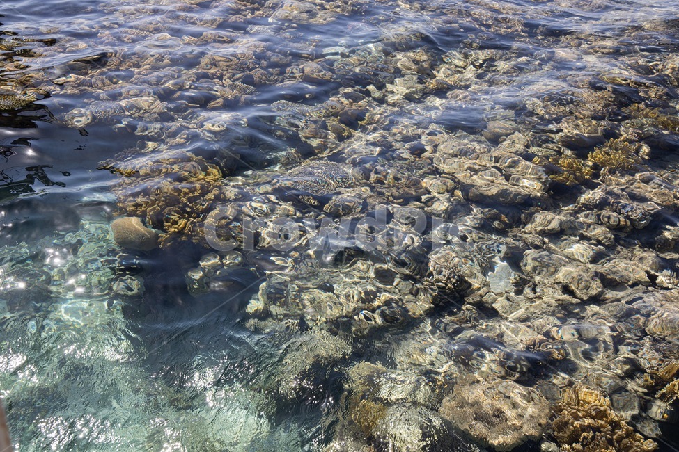 홍해,바다,이스라엘,수영,스노쿨링,redsea,sea,광야,바닷물