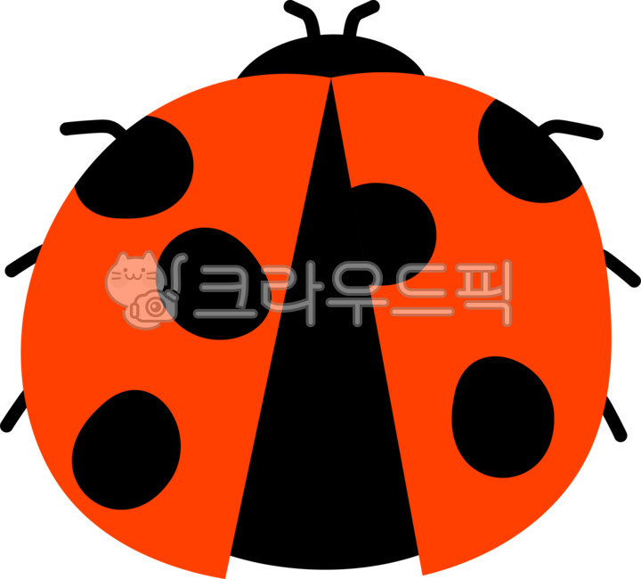 무당벌레,곤충,벌레,일러스트,손그림,귀여움