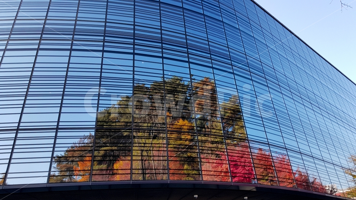 가을,단풍,반사,형형색색,autumn,maple,mirror,colorful,가을,계절,fall,autumn,season,건축물,건물외관,exterior,building,structure,architecture,construction,office building,사무실 건물,건물