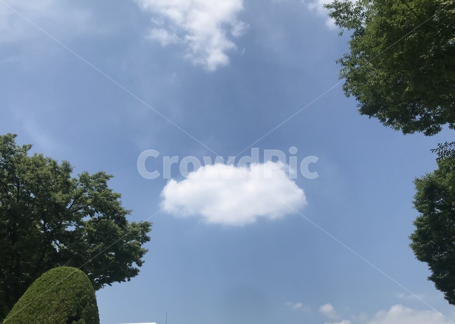 구름,하늘,자연,맑음,cloud,sky,nature,clearday,sunnyday