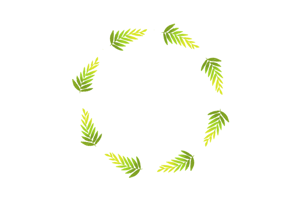 원,프레임,손그림,리스,풀,스템프,plant,green,초록,leaf,잎,누끼,remove background