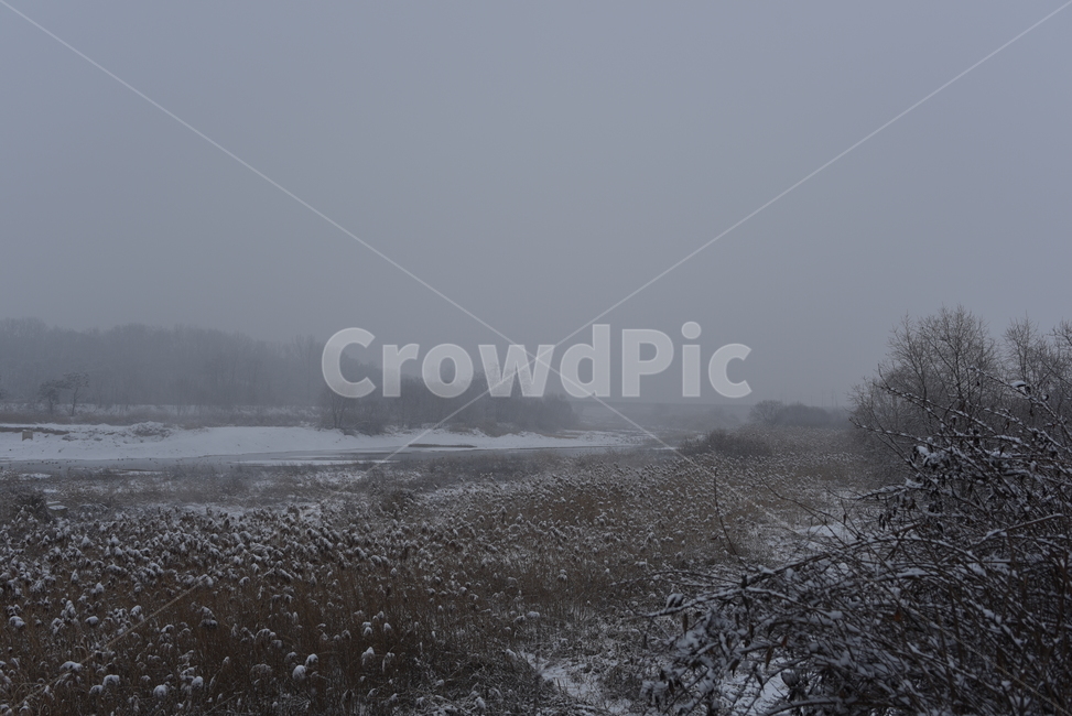 nature,자연,weather,날씨,겨울풍경,풍경,겨율,winter,겨울,계절,winter,season,자연,풍경,nature,landscape
