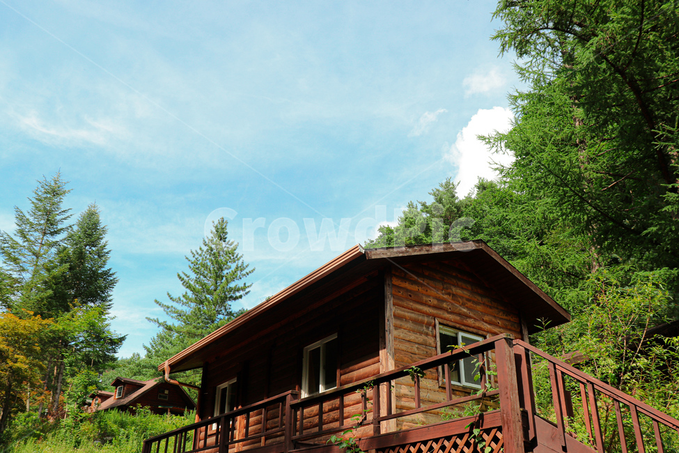 housing,주택,building,건물,목조,나무집,야생,숲속,forest,tree,wood