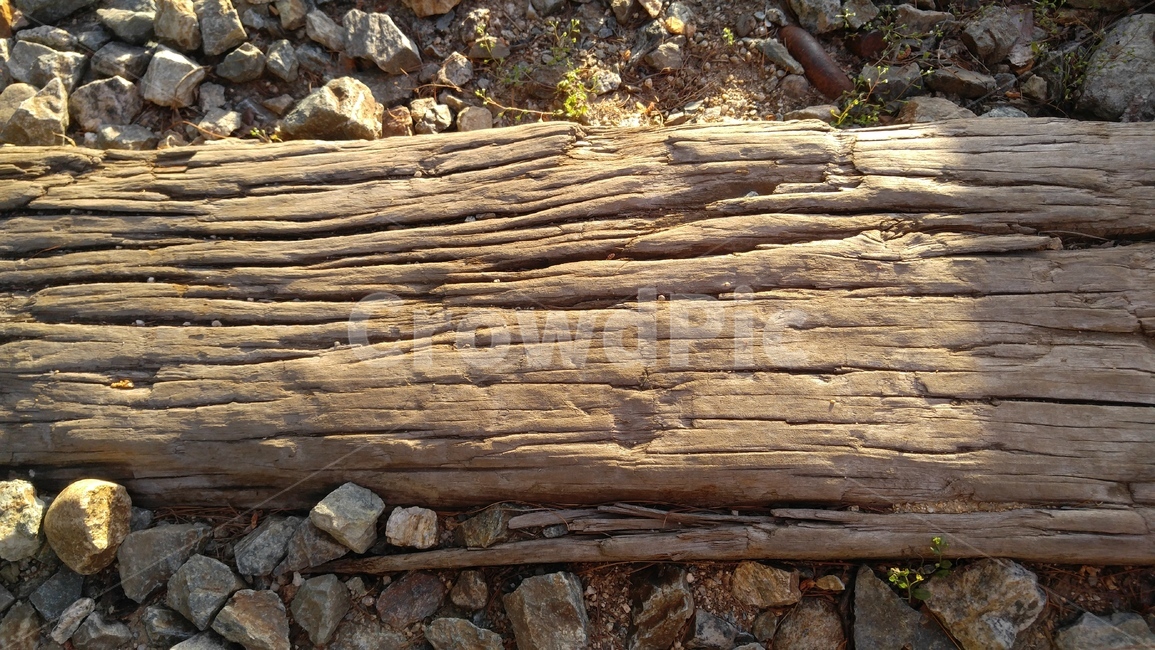 나무,돌,자갈,갈색,배경,감성,무늬,tree,stone,gravel,brown,pattern,background,emotional