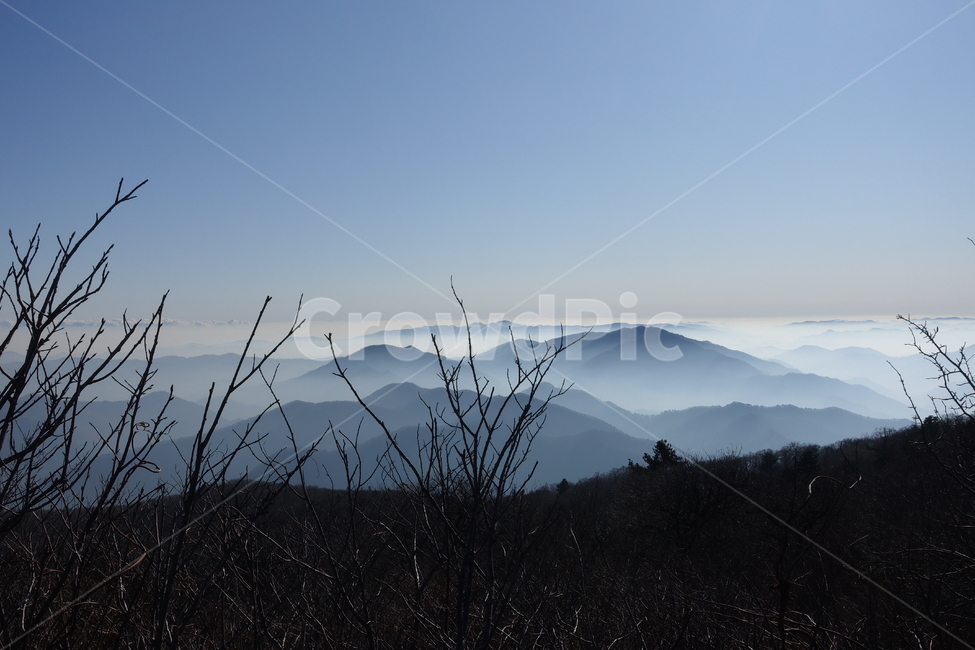 발왕산,산,정상,풍경,운무,안개,몽환적인,실루엣,nature,자연,outdoors,옥외,mountainrange,산맥,mountain,자연,풍경,nature,landscape