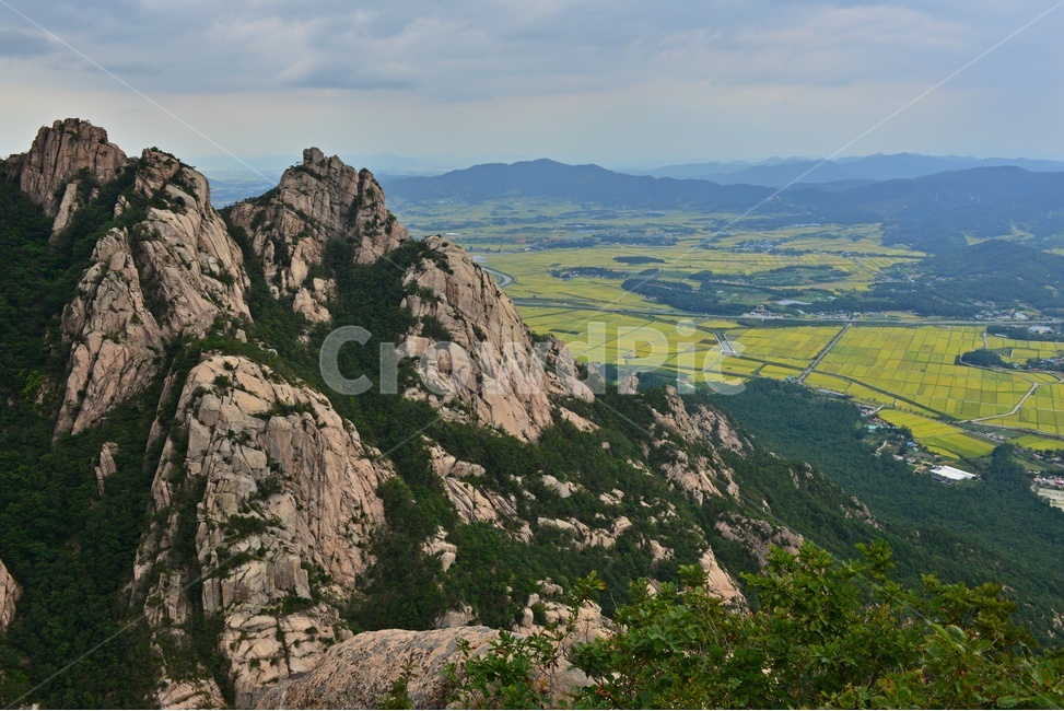 cliff,낭떠러지,nature,자연,outdoors,옥외,mountainrange,산맥,mountain,산,slope,경사,scenery,풍경,landscape,경치,영암,월출산,공원,국립공원,들녁,영암들녁,농사,농업,농경지,경작