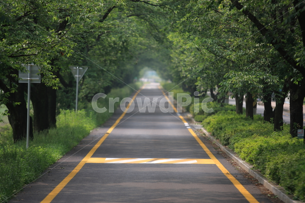 길,도로,way,road,풍경,ladnscape,자연,풍경,nature,landscape,교통,교통수단,traffic,transportation,freeway,고속 도로,highway,고속도로,asphalt,아스팔트
