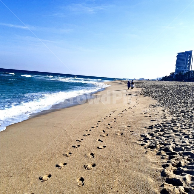 발자국,연인,바닷가,바다,동행,모래사장,하늘,파도,남자,여자,해변,바다,beach,sea