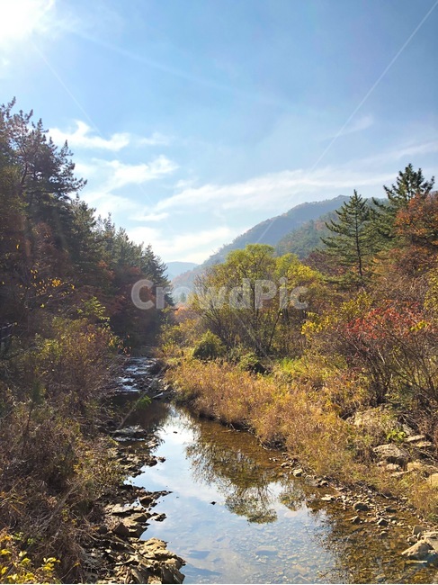 산,나무,숲,하늘,가을,자연,풍경,mountain,tree,forest,sky,nature,autumn,가을,계절,fall,autumn,season,자연,풍경,nature,landscape,ditch,도랑,water,물,outdoors,옥외