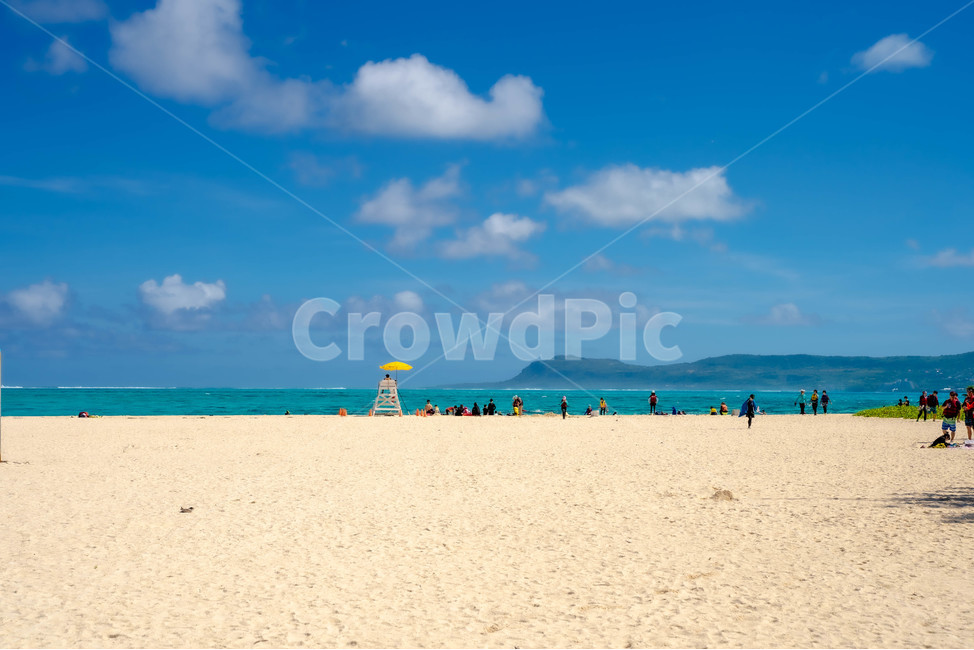 water,물,shoreline,해안선,대양,ocean,nature,자연,sea,바다,coast,연안,모래사장