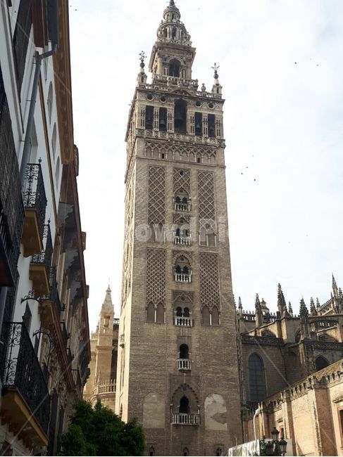스페인,세비아대성당,스페인광장,유럽,관광명소,europetravle