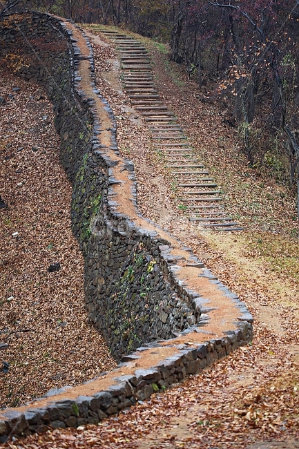 전등사,성,성곽,단풍,낙엽,산성,길,둘레길,숲,숲길,담,돌담,가을,자연,풍경,벽,방어벽,돌,나무,식물,가을,계절,fall,autumn,season,자연,풍경,nature,landscape