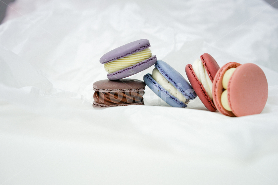 마카롱,디저트,군것질,음식,제과,쿠키,배열,스낵,달콤한,macaron,머랭,음식,식재료,요리,food,cook,meal,dishes,food reserves,디저트,간식,후식,dessert,snack