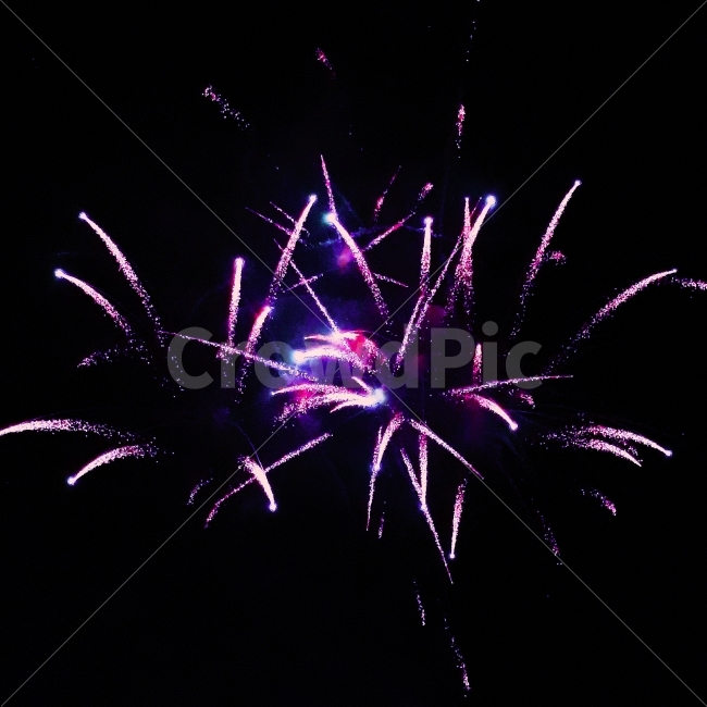 불꽃놀이,불꽃,축제,색감,보라,하늘,밤,밤하늘,야경,밤,풍경,nightscape,night,landscape,축제,행사,festival,carnival,event,색깔,색상,색채,색감,color sense,color sensitivity,feeling of color,nature,자연,outdoors,옥외