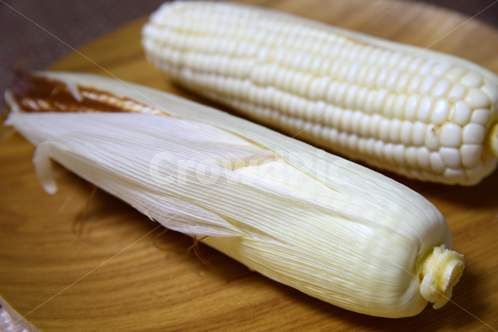 corn kernels,corner,corn husk,corn,corn leaves,Food Ingredients,ingredients,corn cob husk,cone,food