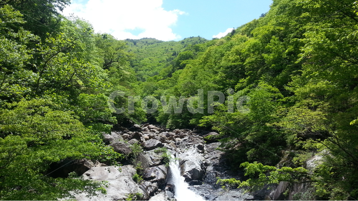 지리산,백무동,신록,한신계곡,폭포,여름,계절,summer,season,자연,풍경,nature,landscape,한국자연풍경,한국자연경관,korea nature landscape,water,물,outdoors,옥외,river,강