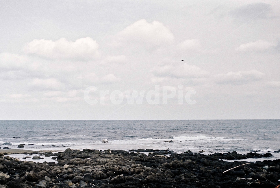 바다,감성,필름,풍경,film,자연,풍경,nature,landscape,해변,바다,beach,sea,promontory,곶