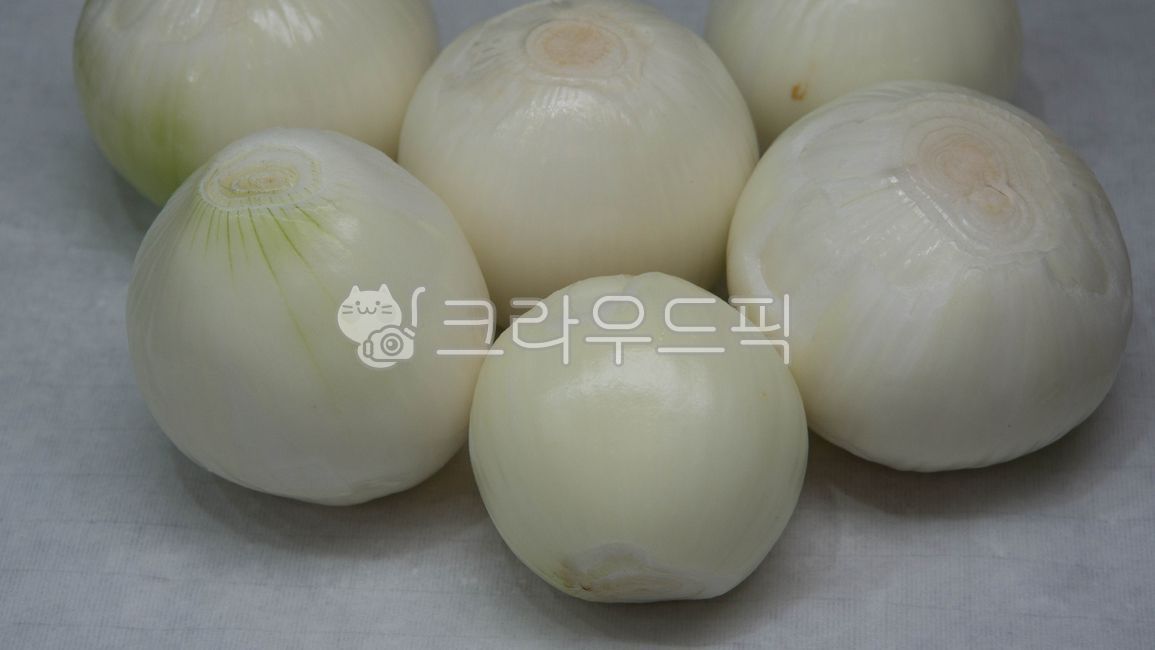 양파, 깐양파, 뿌리, 뿌리채소, 채소, 사진,이미지,일러스트,캘리그라피 - 꼬신작가