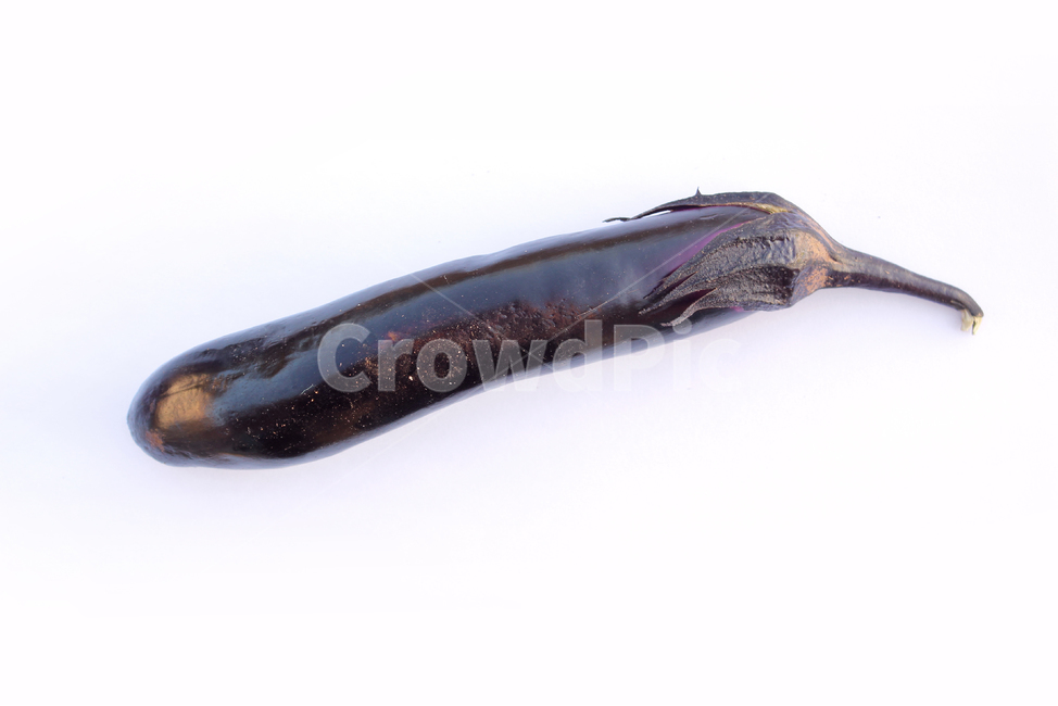 가지,야채,채소,보라색,보라,퍼플,식재료,음식,식물,열매,흰배경,food,vegetables,eggplant,aubergine,violet,purple