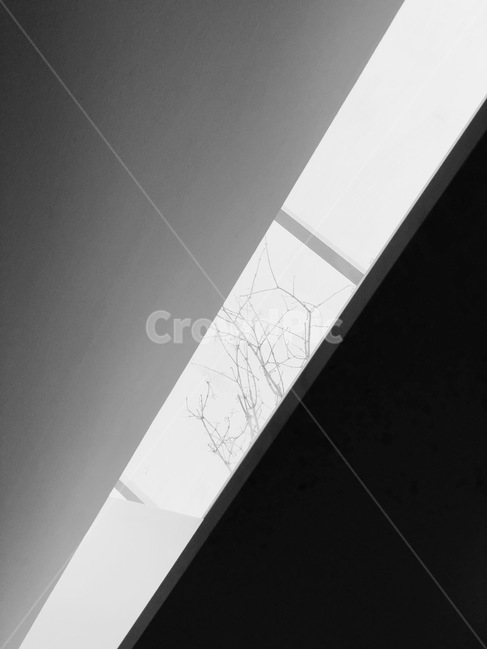 이태원,흑백,유리,천장,오후,흑백,모노톤,monochrome,black and white
