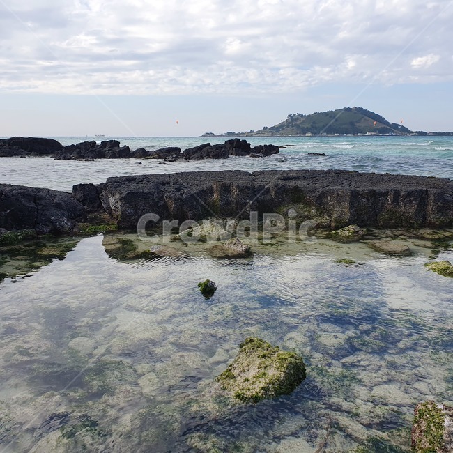 plant,식물,promontory,곶,제주도,협재해수욕장,바다,sea,view,ocean