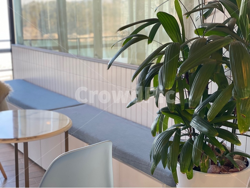 furniture,가구,chair,의자,식물,plants
