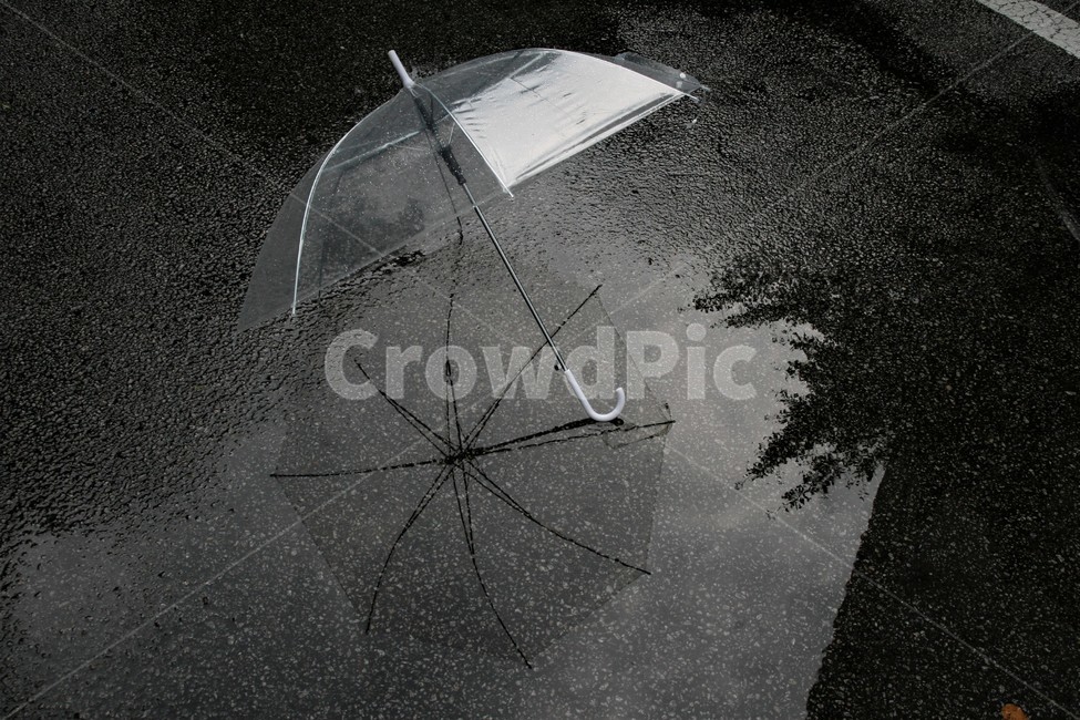 여름,장마,태풍,투명,우산,빗줄기,빗방울,비,비오는날,rain,rainy,흑백,모노톤,monochrome,black and white,사물,물건,오브젝트,thing,object,matter
