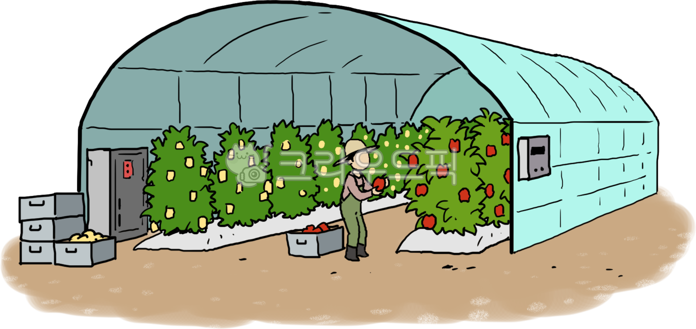 비닐하우스,농사,농업,재배,작물,채소,토마토,딸기,시설,산업,농촌,farming,farmingindustry,수확,농부,비닐,온도,기온,겨울,사과,파프리카,농사일러스트,과일농사,과일,스마트팜