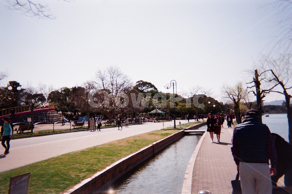 일본,공원,산책,호수,park