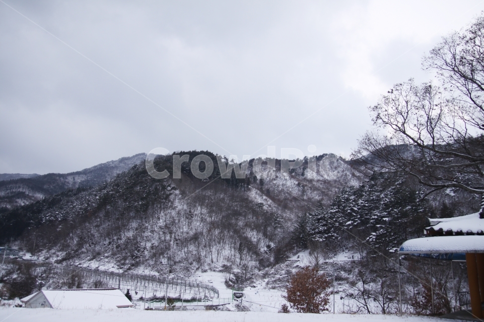 겨울,눈,겨울풍경,설경,겨울산,계절,감성,감정,힐링,휴식,자연,winter,season,nature,healing,눈사진,겨울,계절,winter,season,자연,풍경,nature,landscape,한국자연풍경,한국자연경관,korea nature landscape,tree,나무,plant,식물,fir,전나무,abies,아비,outdoors,옥외
