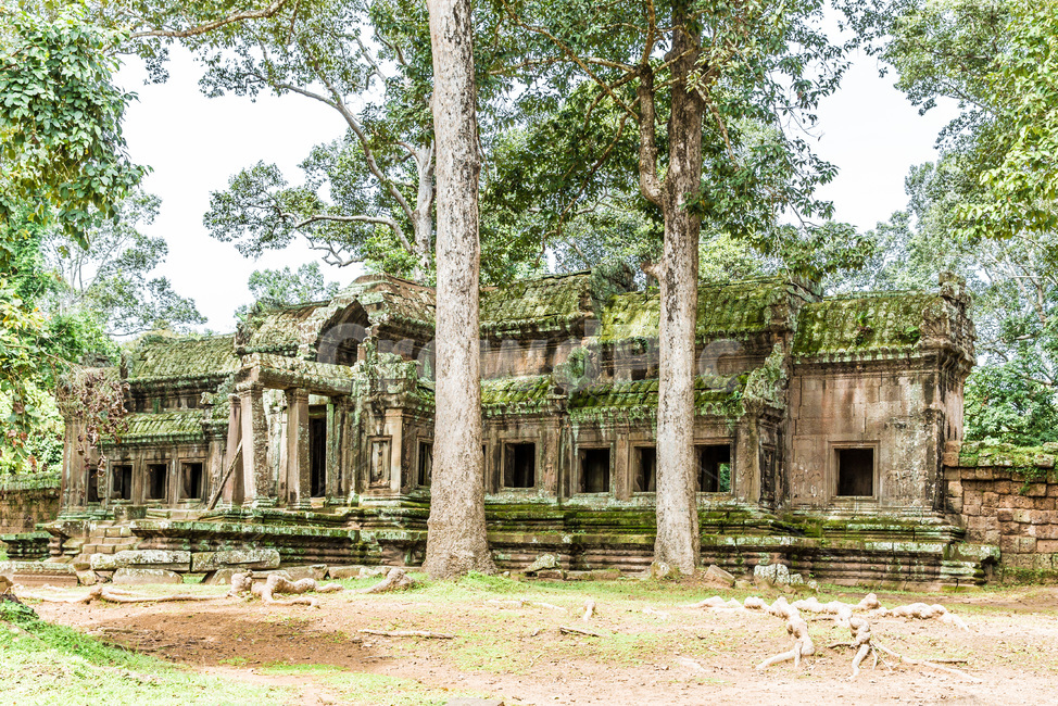 Cambodia,ancient architecture,nature,tree,Historic sites,employee,building,Cultural Heritage,unesco,sight,land mark,Tourist destination,World Cultural Heritage,Emotion,Angkor Wat