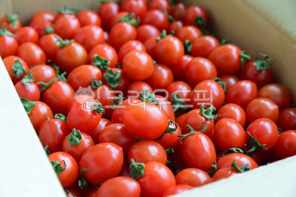 onebox,Cherry tomato,cherrytomato,fruit,One pack,box,desirable,tomato,red,One box,wellbeing,healthy food,ingredients,ripe,diet,Fruit,health,Box,packaging,delicious,pack,food,Red,dessert,foodreserves,one box
