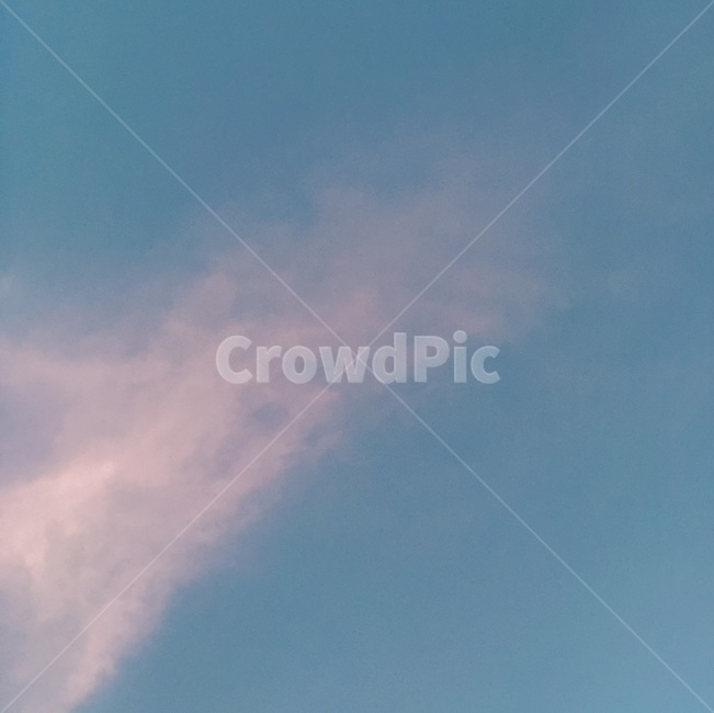 구름,핑크구름,하늘,몽롱,몽롱한분위기,자연,풍경,nature,landscape,animal,동물,flying,나는,bird,새