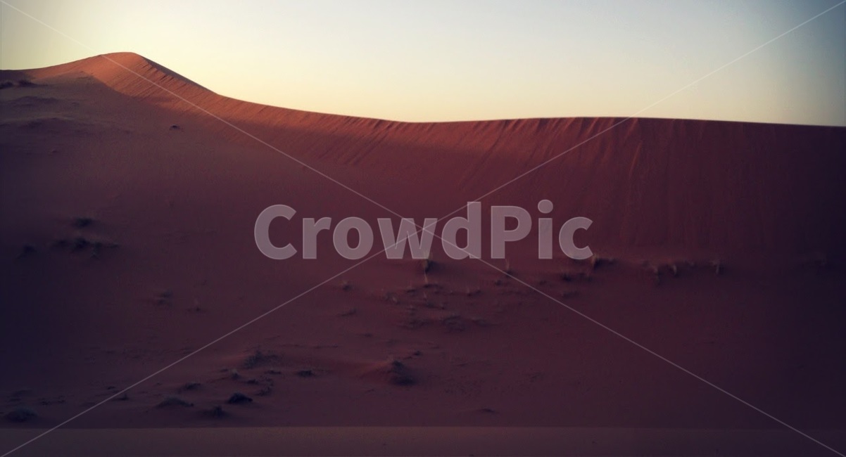 사막,사하라,풍경,여름,모로코,desert,sahara,morocco,summer,자연,풍경,nature,landscape,해외,외국,세계,foreign,oversea,world,세계자연풍경,해외자연풍경,외국자연풍경,world nature landscape,soil,흙,outdoors,옥외,sand,모래,dune,모래 언덕