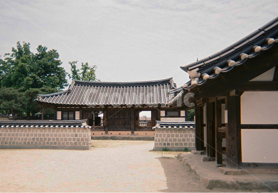 필름카메라,한옥,기와,감성,전주,한옥마을,빈티지,정통,힐링,색감,자연,풍경,한국전통,한국문화,korean traditional,korean culture,건축물,건물외관,exterior,building,structure,architecture,construction