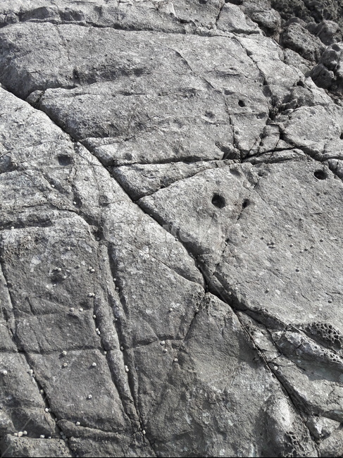 돌해변길,stonebeach,바위,rock,돌,해변,자연,풍경,nature,landscape