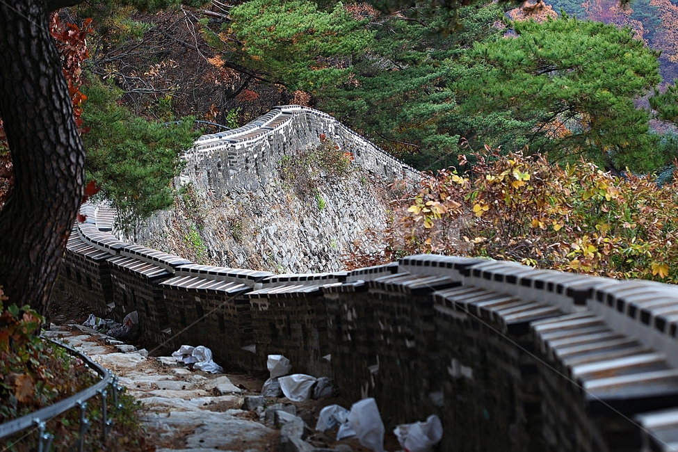 남한산성,성,성곽,단풍,낙엽,길,둘레길,숲,숲길,담,돌담,가을,자연,풍경,벽,울긋불긋,산성,식물,가을,계절,fall,autumn,season