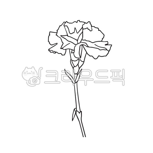 카네이션,어버이날,카네이션일러스트,스승의날,꽃,빨간꽃,어버이날카드