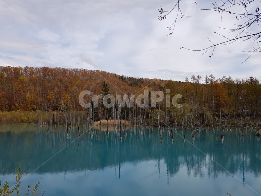 일본,삿포로,호수,japan,lake,sapporo,autumn,가을,해외