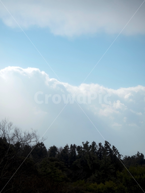 제주,하늘,하늘색,구름,파스텔,파스텔톤,차분한,색감,jeju,sky,skyblue,cloud,pastelcolors,colors,colours,자연,풍경,nature,landscape,outdoors,옥외,weather,날씨,cumulus,적운