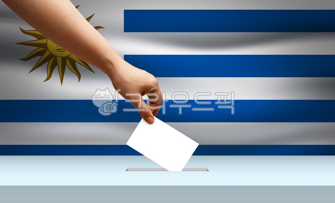 후보자,선거,투표,대통령,대표자,의원,대표,다수결,손,우르과이,우르과이선거,우르과이국기,국기,투표함,총리,국회의원,선거날,정당,여당,야당,정치,여론,지역,총선,개표,의장,의회