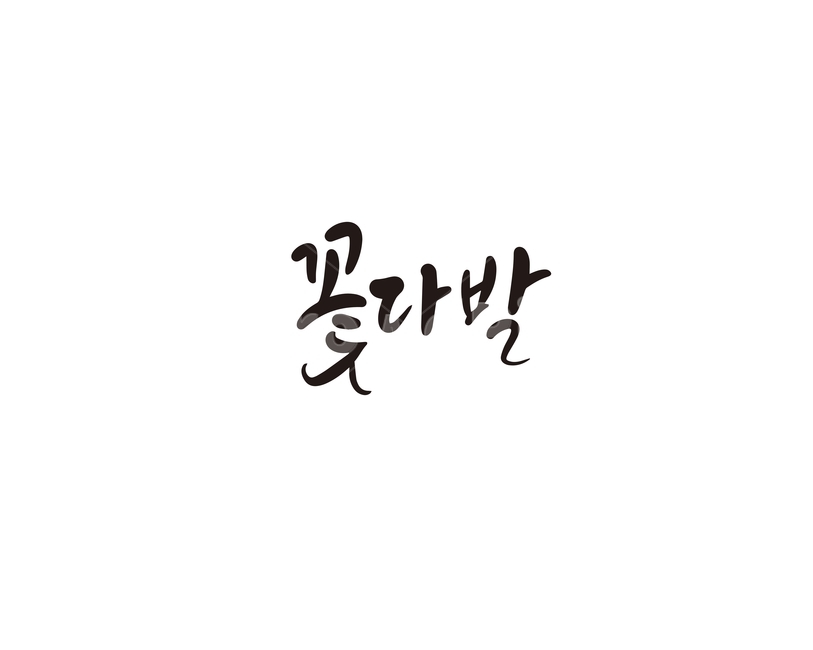캘리,캘리그라피,꽃,꽃다발,손글씨,캘리그라피,손글씨,calligraphy