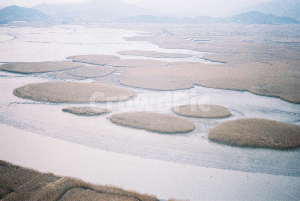 순천만습지,갈대밭,전망대,필름카메라,노을,film,하늘,겨울,landscape,풍경,경관,구름,cloudy,자연,풍경,nature,landscape,한국자연풍경,한국자연경관,korea nature landscape,scenery,outdoors,옥외,경치