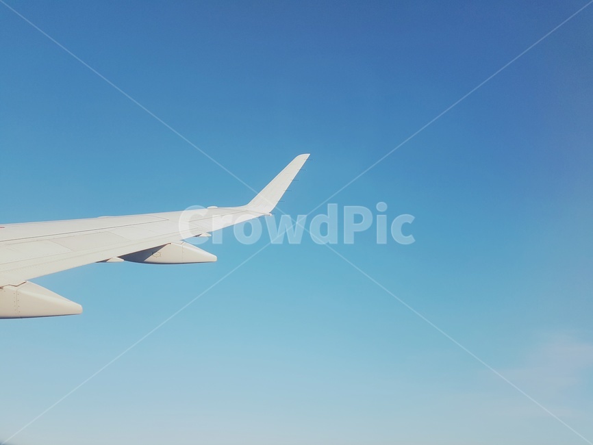 하늘,비행기,상공,구름,날개,sky,cloud,fly,자연,전경