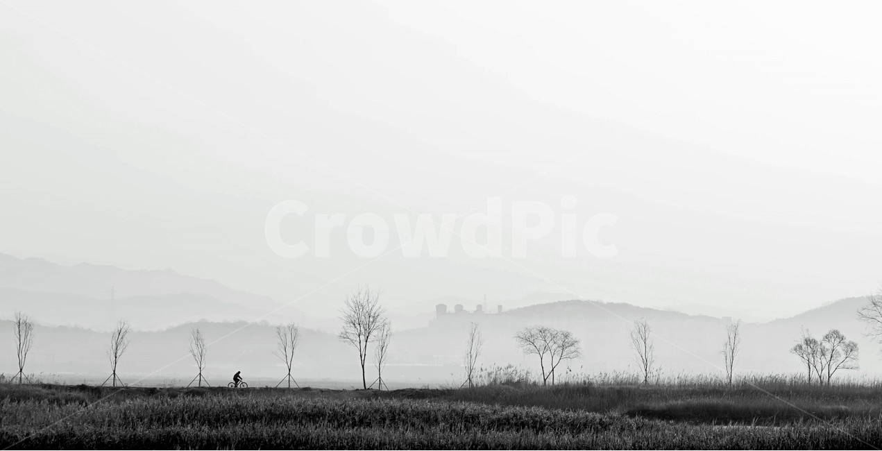 사람,안개,풍경,자전거,소래,갯골,자연,풍경,nature,landscape,흑백,모노톤,monochrome,black and white,weather,날씨,outdoors,옥외