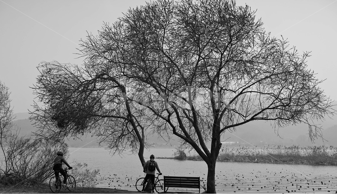 사람,남자,여자,자전거,하이킹,나무,벤치,의자,강,자연,풍경,nature,landscape,사람,인물,인간,human,person,흑백,모노톤,monochrome,black and white,vehicle,차량,bicycle,transportation,교통,bike