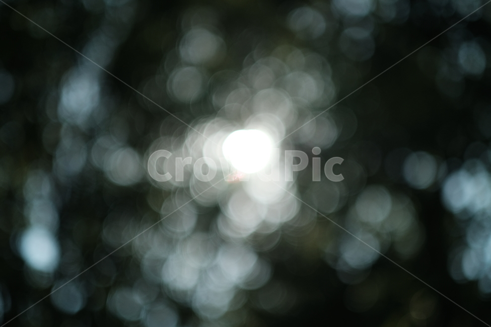 빛망울,보케,light,초록,희망,green,bokeh,숲,forest,나무,wood,hope,하늘,sky,빛,밝음,감성,sensible,feeling
