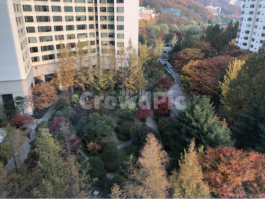 가을,단풍,단지내공원,공원,park,가을,계절,fall,autumn,season,건축물,건물외관,exterior,building,structure,architecture,construction,outdoors,옥외,landscape,경치,nature,자연,scenery,풍경,tree,나무,plant,식물
