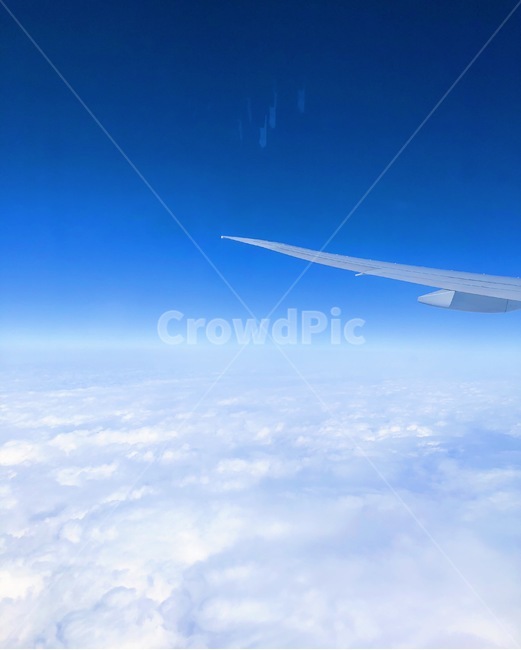 하늘,비행기,구름,파란색,sky,하늘색,blue,교통,교통수단,traffic,transportation