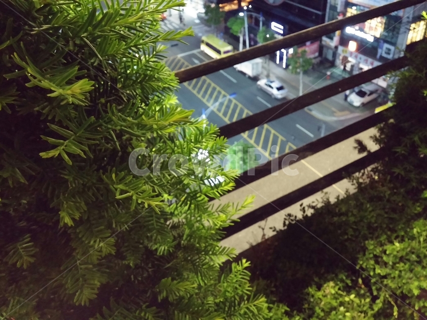 도심,옥상,경관,도로,풀